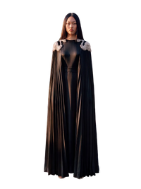 30077 فستان سوان أسود